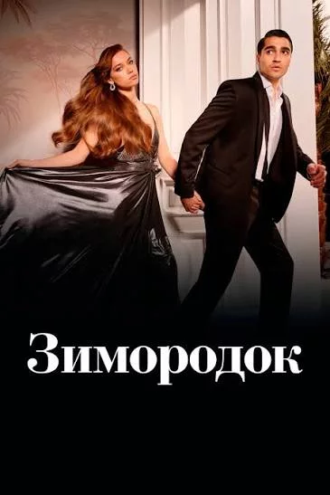 Зимородок 22 серия